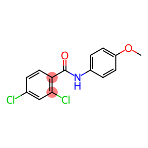 2,4-二氯-N-(4-甲氧基苯基)-苯甲酰胺