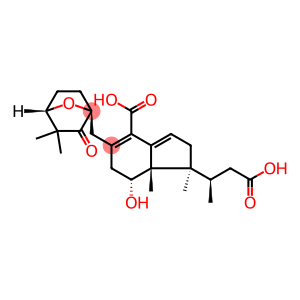 (1S,βR)-4-Carboxy-5-[[(1S,4S)-3,3-dimethyl-2-oxo-7-oxabicyclo[2.2.1]heptan-1-yl]methyl]-2,6,7,7a-tetrahydro-7β-hydroxy-β,1,7aα-trimethyl-1H-indene-1α-propanoic acid