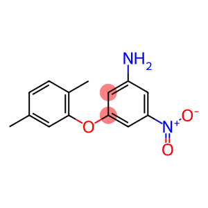 3-(2,5-dimethylphenoxy)-5-nitroaniline