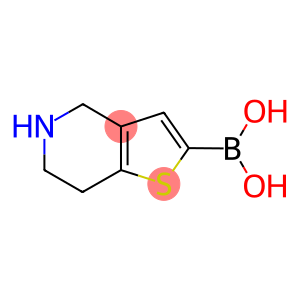 4,5,6,7-TETRAHYDROTHIENO[3,2-C]PYRIDIN-2-YL BORONIC ACID