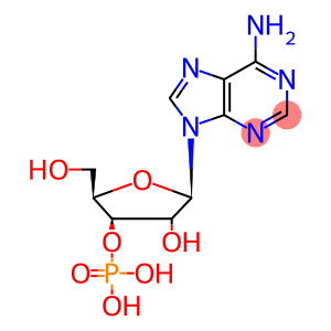 3'-ADENYLIC ACID