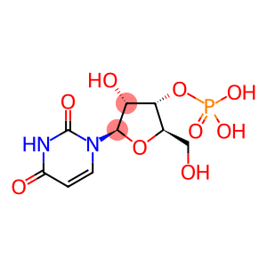 Uridylic Acid