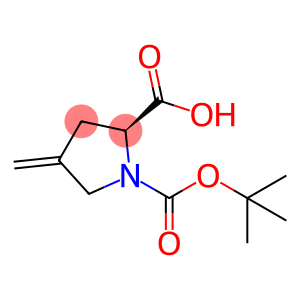 N-Boc-4-亚甲基-L-脯氨酸