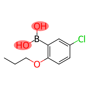 5-氯-2-正丙氧基苯硼酸