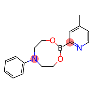 4-Methylpyridine-2-boronic acid N-phenyldiethanolamine ester