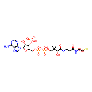 Coenzyme A