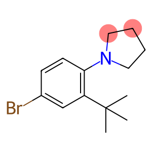 1-(4-溴-2-叔丁基-苯基)-吡咯烷
