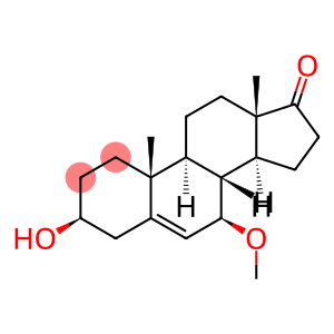 Androst-5-en-17-one, 3-hydroxy-7-methoxy-, (3beta,7beta)- (9CI)