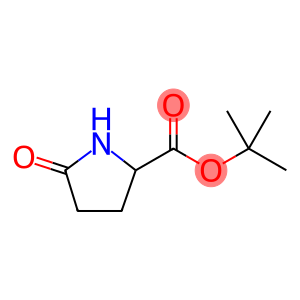 tert-Butyl 5-oxo-DL-prolinate