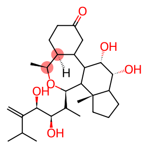 (22R,23R)-2α,3α,22,23-Tetrahydroxy-B-homo-7-oxa-5α-ergost-24(28)-en-6-one