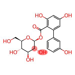 beta-D-Glucopyranose, 1-(3,3',5-trihydroxy(1,1'-biphenyl)-2-carboxylate)