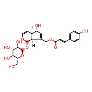 β-D-Glucopyranoside, (1S,4aR,5S,7aS)-1,4a,5,7a-tetrahydro-5-hydroxy-7-[[[(2E)-3-(4-hydroxyphenyl)-1-oxo-2-propen-1-yl]oxy]methyl]cyclopenta[c]pyran-1-yl