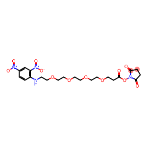 2,5-Pyrrolidinedione, 1-[3-[2-[2-[2-[2-[(2,4-dinitrophenyl)amino]ethoxy]ethoxy]ethoxy]ethoxy]-1-oxopropoxy]- (9CI)