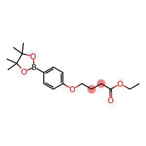 4-[4-(4,4,5,5-TETRAMETHYL-[1,3,2]DIOXABOROLAN-2-YL)-PHENOXY]-BUTYRIC ACID ETHYL ESTER