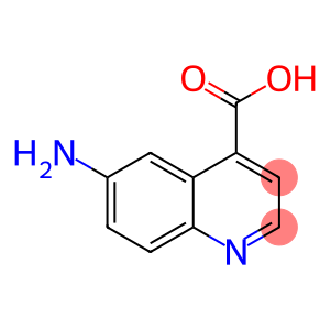 6-氨基喹啉-4-羧酸