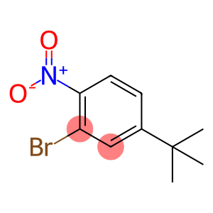 2-Bromo-4-(2-methyl-2-propanyl)-1-nitrobenzene