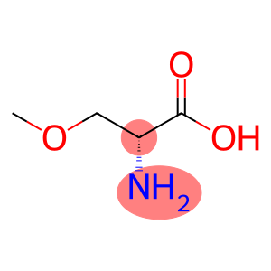 (R)-2-氨基-3-甲氧基丙酸