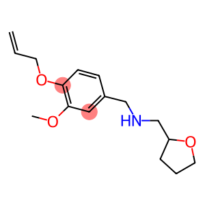 N-[4-(allyloxy)-3-methoxybenzyl]-N-(tetrahydro-2-furanylmethyl)amine