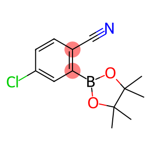 4-Chloro-2-(4,4,5,5-tetramethyl-1,3,2-dioxaborolan-2-yl)benzonitrile
