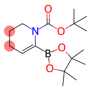 N-叔丁氧羰基-3,4-二氢吡啶-6-硼酸频哪醇酯