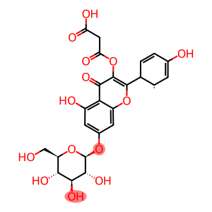 7-[[6-O-(Carboxyacetyl)-beta-D-glucopyranosyl]oxy]-5-hydroxy-2-(4-hydroxyphenyl)-4H-1-benzopyran-4-one