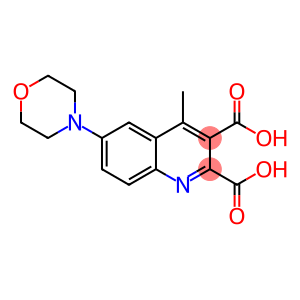 4-METHYL-6-MORPHOLINO-2,3-QUINOLINEDICARBOXYLIC ACID