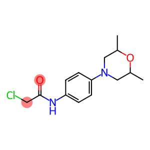 2-chloro-N-[4-(2,6-dimethylmorpholin-4-yl)phenyl]acetamide