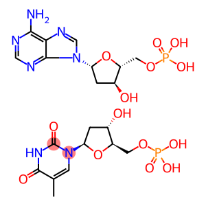 聚脱氧核糖核酸