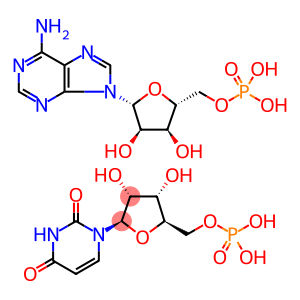 POLYADENYLIC-URIDYLIC ACID POTASSIUM