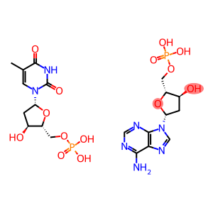 polydeoxyadenylicacid-polythymidylicacid