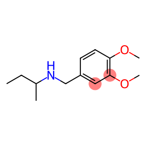 butan-2-yl[(3,4-dimethoxyphenyl)methyl]amine