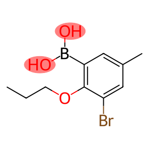 3-溴-5-甲基-2-丙氧基苯基硼酸