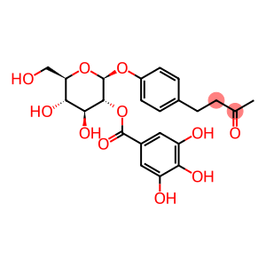 4-[4-[[2-O-(3,4,5-Trihydroxybenzoyl)-beta-D-glucopyranosyl]oxy]phenyl]-2-butanone