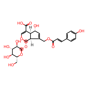 10-O-反式-P-香豆酰鸡屎藤次苷