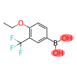 Boronic acid, B-[4-ethoxy-3-(trifluoromethyl)phenyl]-