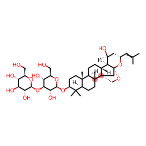 假马齿苋皂苷N1