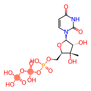 1-(3'-C-methyl-beta-D-ribofuranosyl)uracil 5'-triphosphate