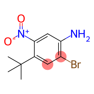 2-Bromo-4-tert-butyl-5-nitro-phenylamine