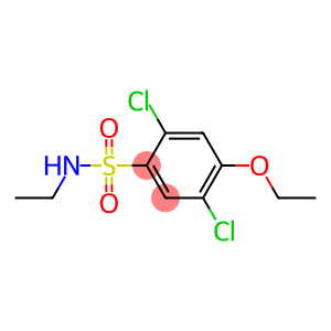 2,5-dichloro-4-ethoxy-N-ethylbenzenesulfonamide