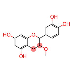 3-O-methylcatechin