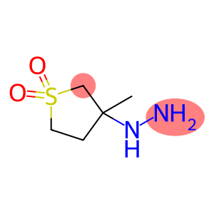 (3-METHYL-1,1-DIOXO-TETRAHYDRO-1,6-THIOPHEN-3-YL)-HYDRAZINE