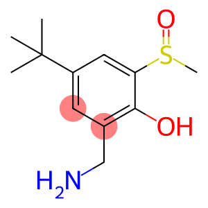 Phenol, 2-(aminomethyl)-4-(1,1-dimethylethyl)-6-(methylsulfinyl)-