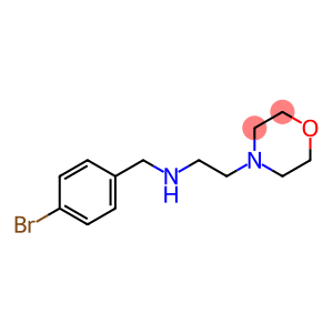 N-(4-bromobenzyl)-N-[2-(4-morpholinyl)ethyl]amine