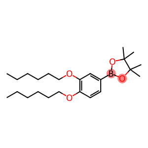 1,3,2-DIOXABOROLANE, 2-[3,4-BIS(HEXYLOXY)PHENYL]-4,4,5,5-TETRAMETHYL-