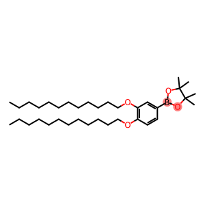 2-[3,4-Bis(dodecyloxy)phenyl]-4,4,5,5-tetramethyl-1,3,2-dioxaborolane