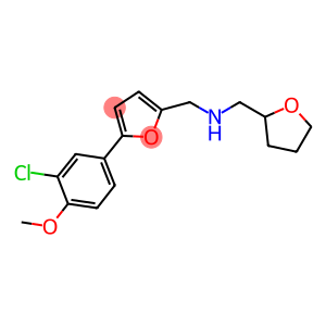 N-{[5-(3-chloro-4-methoxyphenyl)-2-furyl]methyl}-N-(tetrahydro-2-furanylmethyl)amine