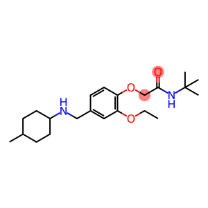 N-(tert-butyl)-2-(2-ethoxy-4-{[(4-methylcyclohexyl)amino]methyl}phenoxy)acetamide