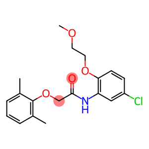 N-[5-chloro-2-(2-methoxyethoxy)phenyl]-2-(2,6-dimethylphenoxy)acetamide