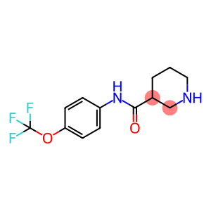 N-(4-三氟甲氧基苯基)哌啶-3-甲酰胺