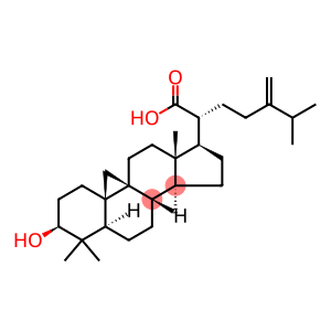 9,19-Cyclolanostan-21-oic acid, 3-hydroxy-24-methylene-, (3β)- (9CI)